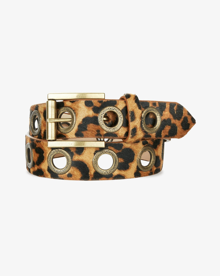 2389LeysaPersianLeopard_cfe9c5 
