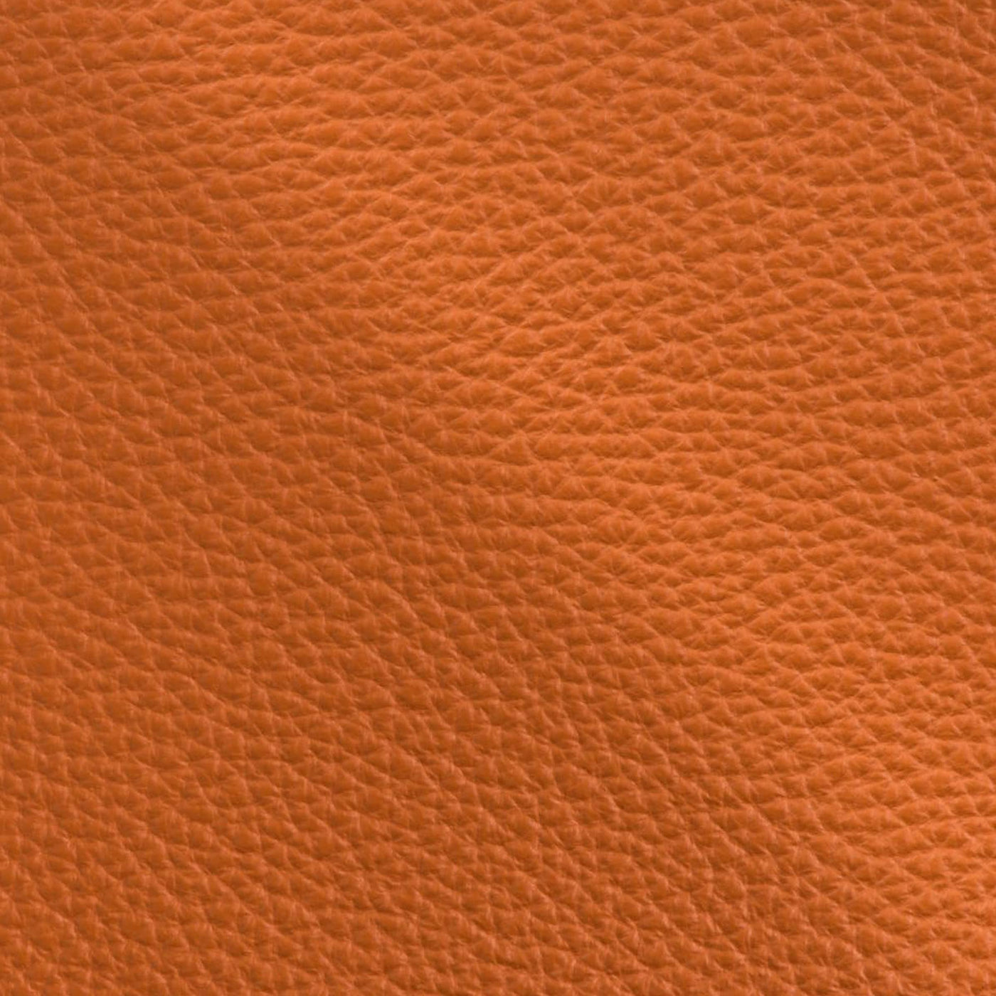 BRAVE Leather Samples - Fashion Collection