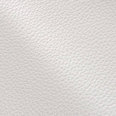 BRAVE Leather Samples - Core Collection